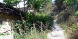 Ioannina
